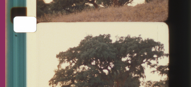 LUZ, CLARÃO, FULGOR – Augúrios para um Enquadramento Não Hierárquico e Venturoso  LUZ, CLARÃO, FULGOR – Augúrios para um Enquadramento Não Hierárquico e Venturoso