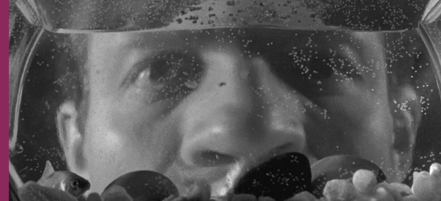 Le Baiser du tueur (Killer's Kiss) Le Baiser du tueur (Killer's Kiss)