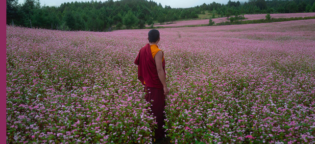 Le Moine et le fusil Le Moine et le fusil