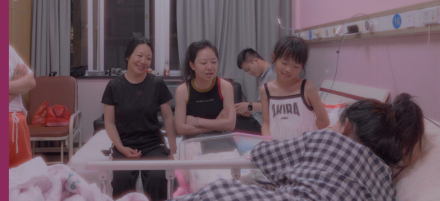 About the Pink Cocoon About the Pink Cocoon