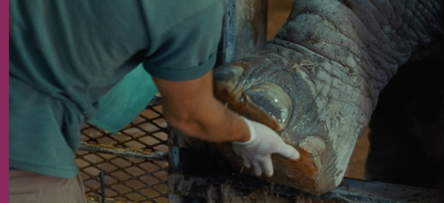 Monólogo Colectivo Monólogo Colectivo