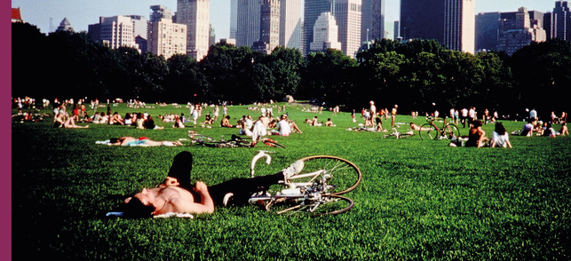 Central Park Central Park