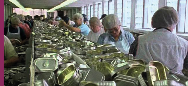 Belfast, Maine Belfast, Maine