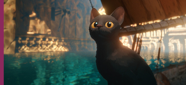 Une vie de chat