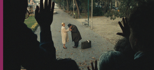 Ils vont tous bien ! (Stanno tutti bene) Ils vont tous bien ! (Stanno tutti bene)