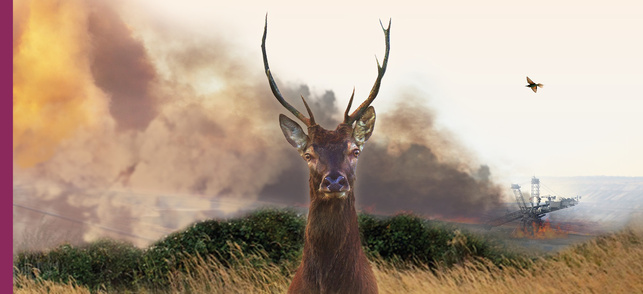 Le Vivant qui se défend (+ réalisateur) Le Vivant qui se défend (+ réalisateur)