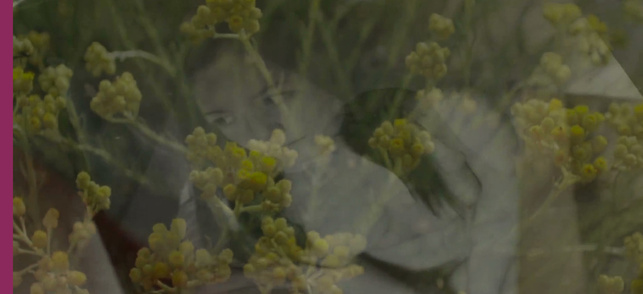 L'Âcre parfum des immortelles L'Âcre parfum des immortelles