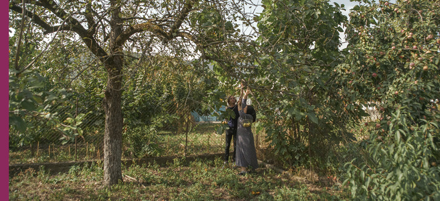 Dimanche 16 novembre 20:45 - Imago Dimanche 16 novembre 20:45 - Imago