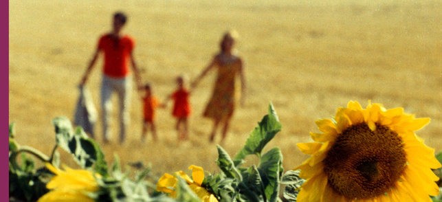 Le Bonheur Le Bonheur