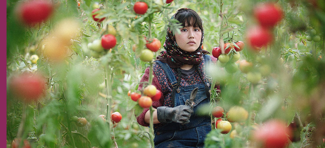 Jeudi 6 novembre 20:30 - Au pays de nos frères (+ rencontre) Jeudi 6 novembre 20:30 - Au pays de nos frères (+ rencontre)