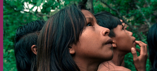 La Fleur de Buriti (Crowrã) La Fleur de Buriti (Crowrã)