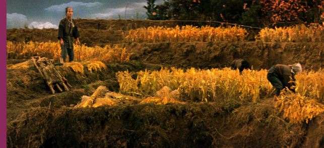 La Ballade de Narayama La Ballade de Narayama