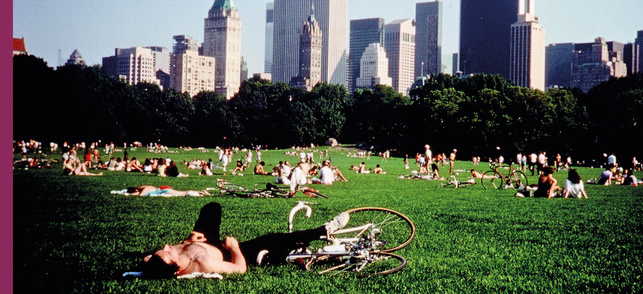 Central Park Central Park