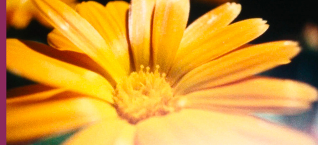 Vendredi 27 février 18:30 - LAD 1 Vendredi 27 février 18:30 - LAD 1