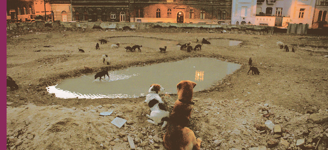 White God (Fehér Isten) White God (Fehér Isten)