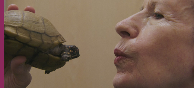 Monk in Pieces Monk in Pieces