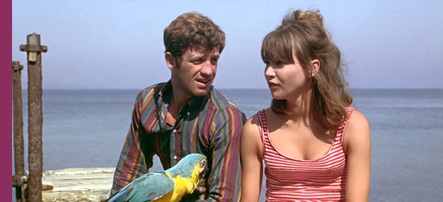 Pierrot le fou Pierrot le fou