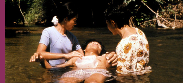 Blissfully Yours Blissfully Yours