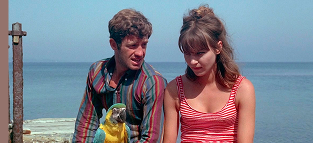 Pierrot le fou Pierrot le fou