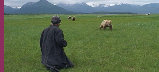 Grizzly Man  Grizzly Man