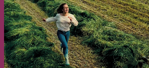 Peaux de vaches Peaux de vaches