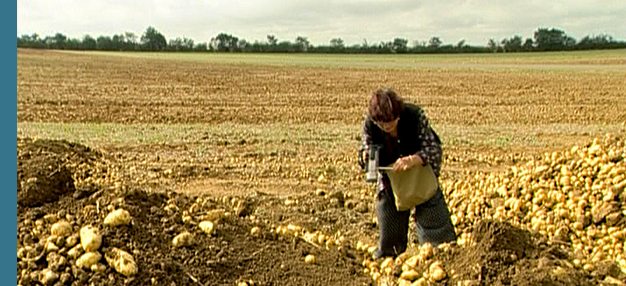 Les Glaneurs et la glaneuse Les Glaneurs et la glaneuse