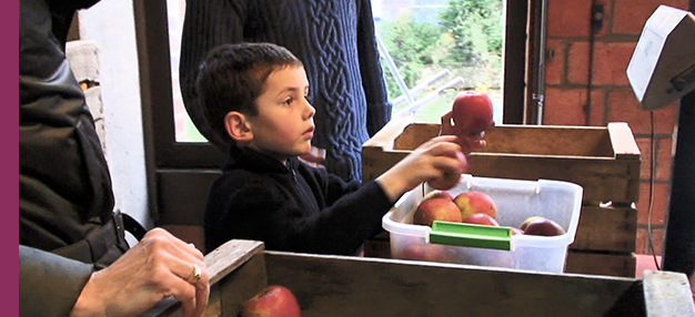 Solutions locales pour un désordre global  Solutions locales pour un désordre global