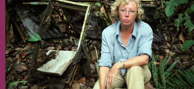 Les Ailes de l'espoir (Julianes Sturz in den Dschungel) Les Ailes de l'espoir (Julianes Sturz in den Dschungel)