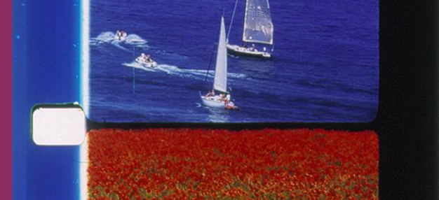 VOILIERS ET COQUELICOTS