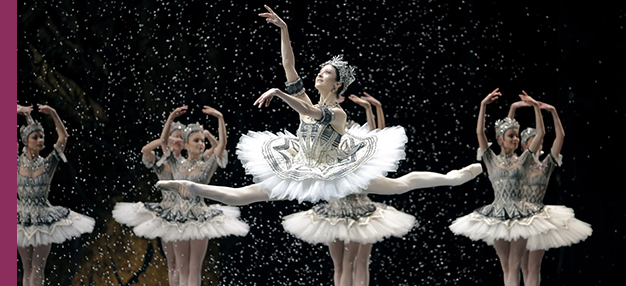 La Danse, le ballet de l’Opéra de Paris  La Danse, le ballet de l’Opéra de Paris