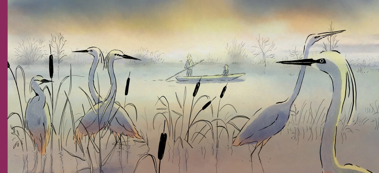 À vol d’oiseaux