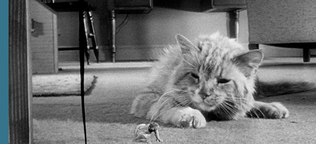 L’Homme qui rétrécit (The Incredible Shrinking Man) L’Homme qui rétrécit (The Incredible Shrinking Man)