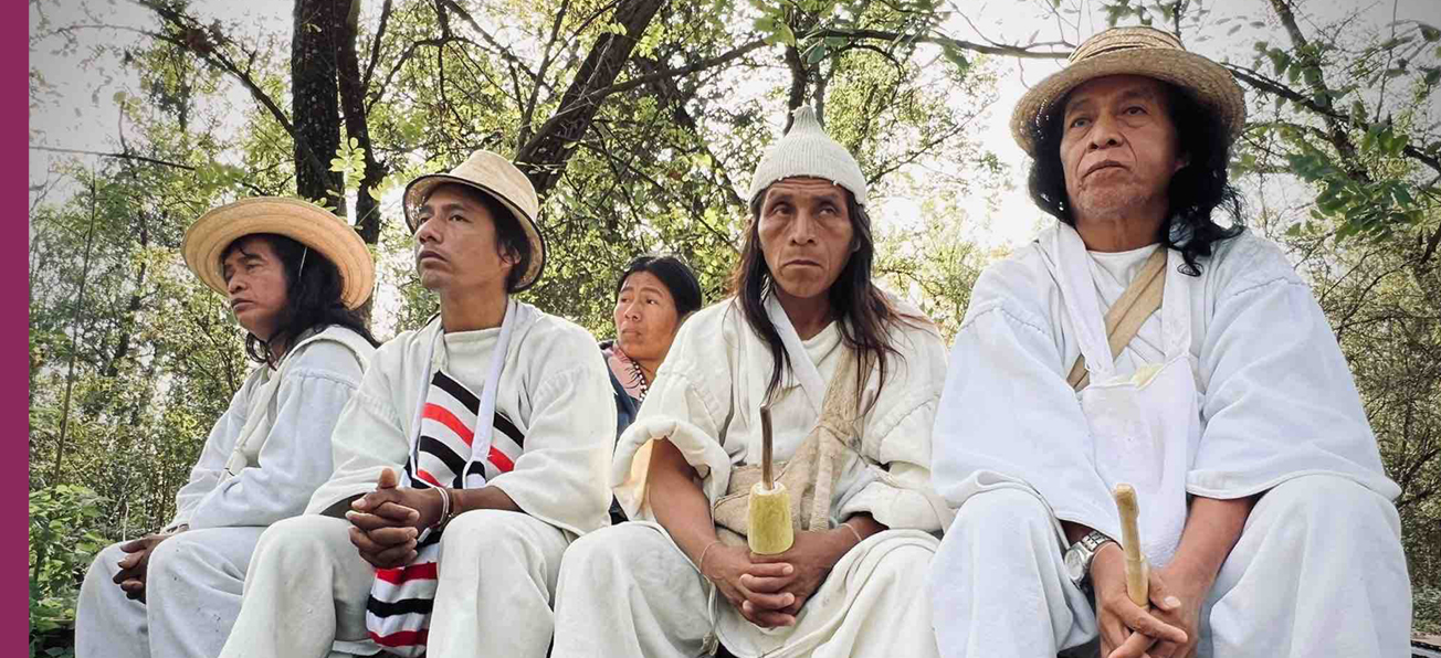 Kogis, ensemble pour soigner la Terre