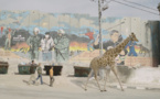 Girafada