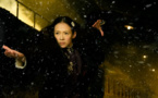 The Grandmaster (Yi dai zong shi)