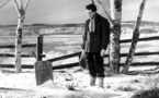 Vers sa destinée (Young Mister Lincoln) 