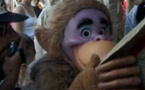 Disneyland, mon vieux pays natal	 Disneyland, mon vieux pays natal