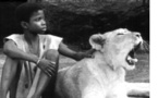 L'ENFANT LION  L'ENFANT LION