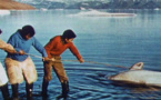 Les Balises d'Argos (3 films) 