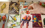 Langue des oiseaux