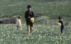 PASTORAL KINO : ciné-concert par bocage 