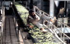 Soleil vert (Soylent Green) 