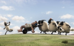Shaun le mouton, le film (+ rencontre) 	          Shaun le mouton, le film (+ rencontre)