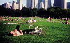 Central Park