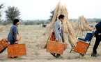 À bord du Darjeeling Limited (The Darjeeling Limited) + Hôtel Chevalier