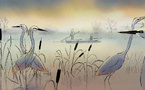 À vol d’oiseaux